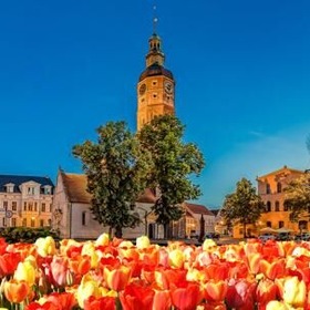 item_940873_pic_1_contentwidth