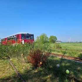 item_1094807_pic_1_contentwidth