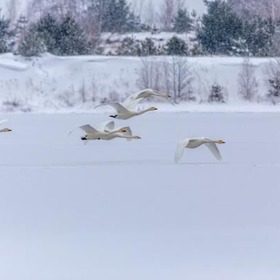 Foto: Ralf Donat_Heinz Sielmann Stiftung, Lizenz: Ralf Donat item_1095275_pic_1_contentwidth