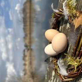 item_1098939_pic_1_contentwidth