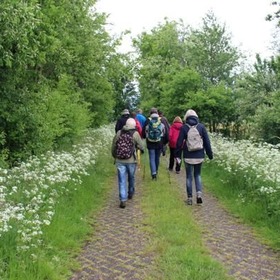 item_1098974_pic_1_contentwidth